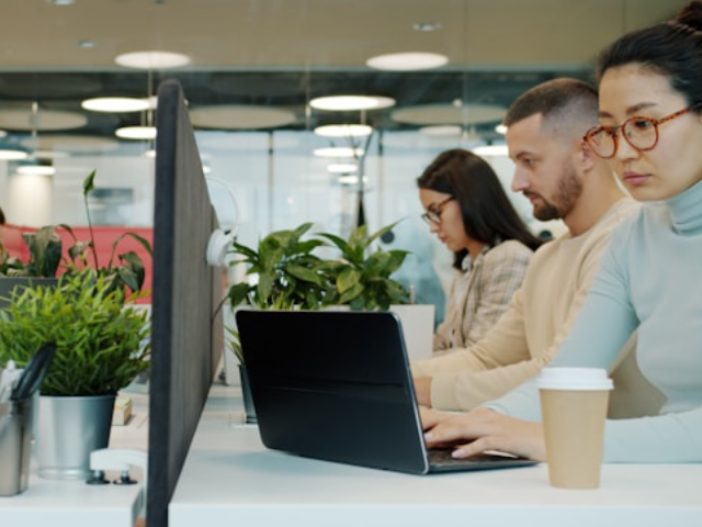 teams at their desks